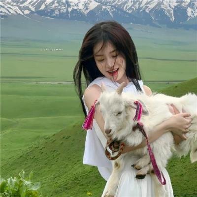 白鸥啊 不要飞起来